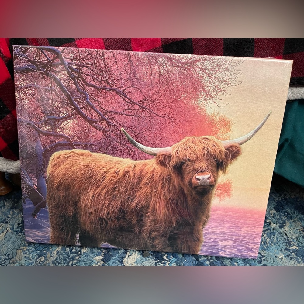16x20 Highlander Canvas